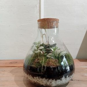 Terrario Gota de agua