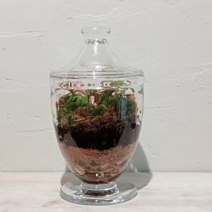 Terrario Copa