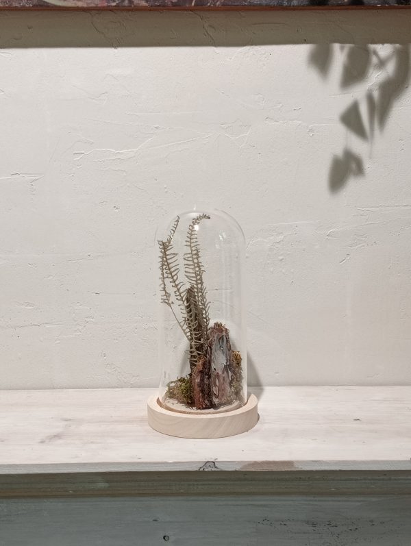 Cloche Bosque de Musgo (S) - Imagen 4