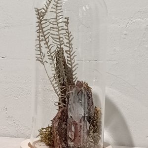 Cloche Bosque de Musgo (S)