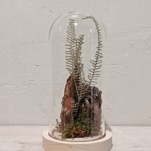 Cloche Bosque de Musgo (S)