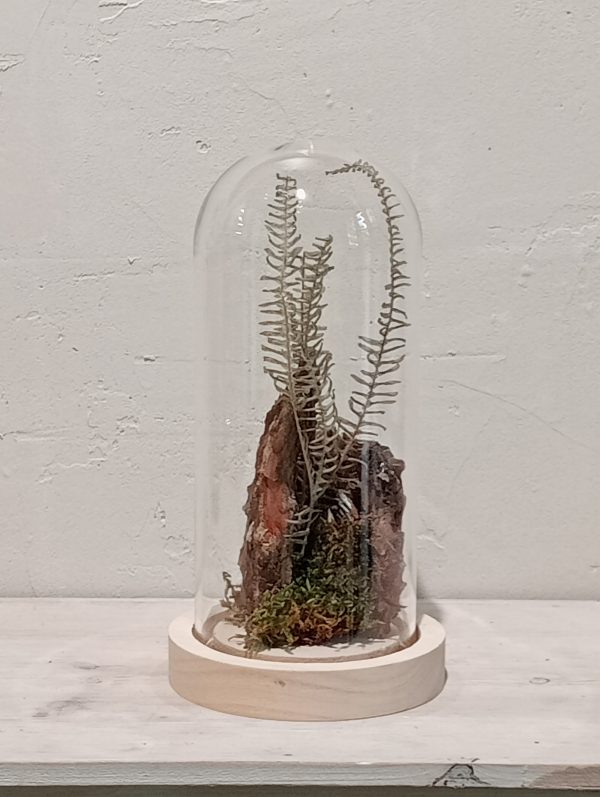 Cloche Bosque de Musgo (S)