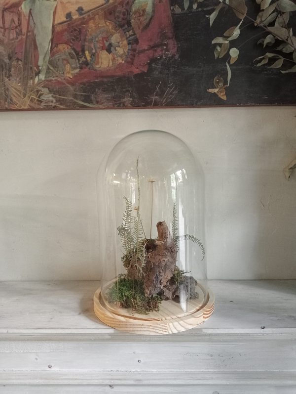 Cloche Bosque de Musgo (L) - Imagen 3