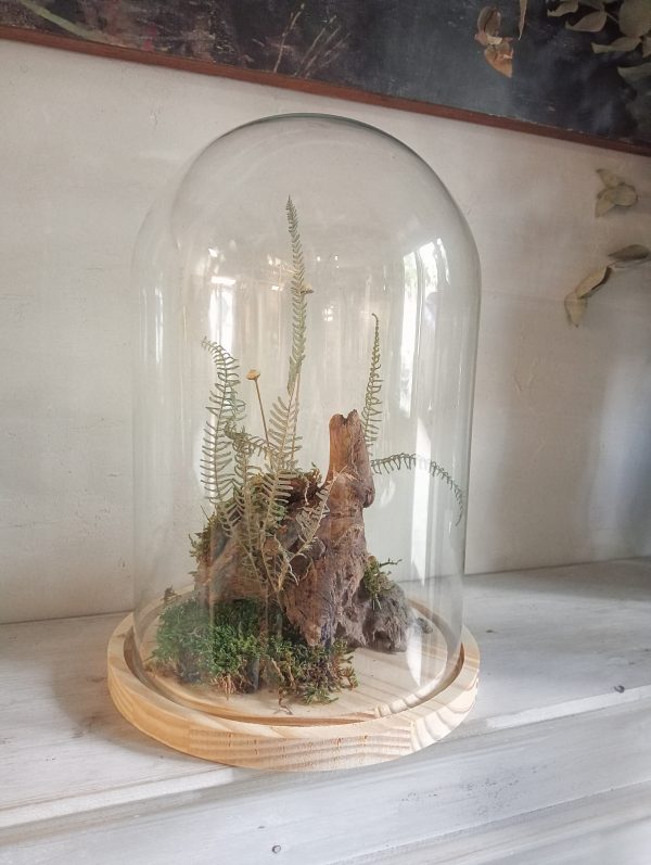 Cloche Bosque de Musgo (L)