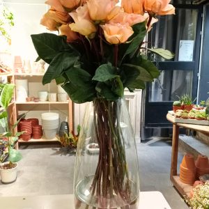 Rosa Jardin Felicity