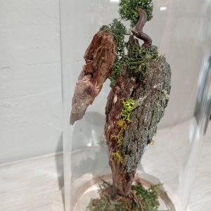 Cloche Isla Colgante (S)